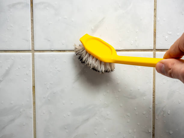 Best Office Mold Removal Services  in Carlisle, IA