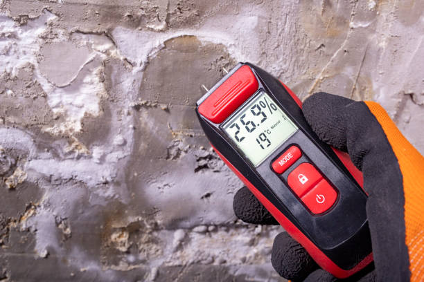Best Affordable Mold Removal  in Carlisle, IA