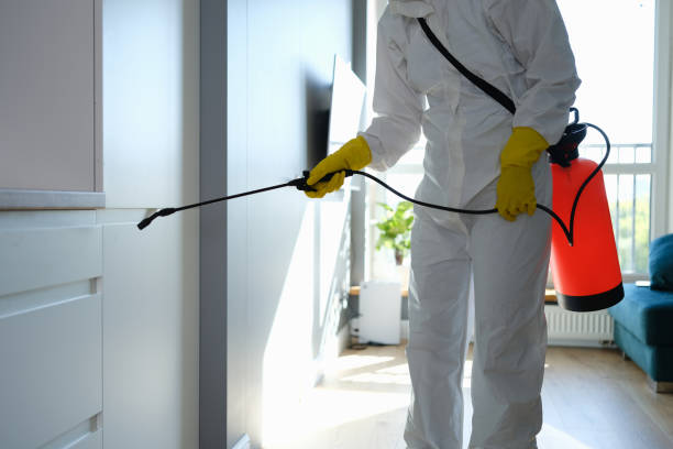 Best Fast Mold Removal  in Carlisle, IA